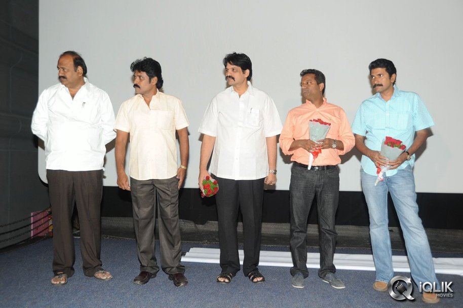 Cut-Chesthe-Movie-Audio-Launch
